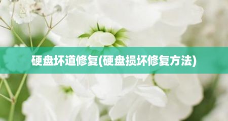 硬盘坏道修复(硬盘损坏修复方法)