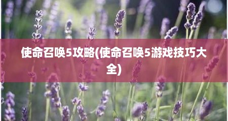 使命召唤5攻略(使命召唤5游戏技巧大全)