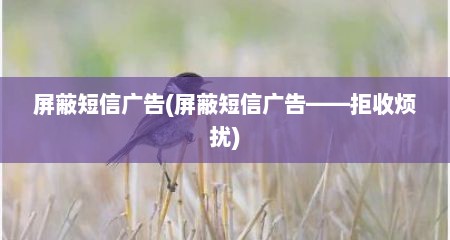 屏蔽短信广告(屏蔽短信广告——拒收烦扰)
