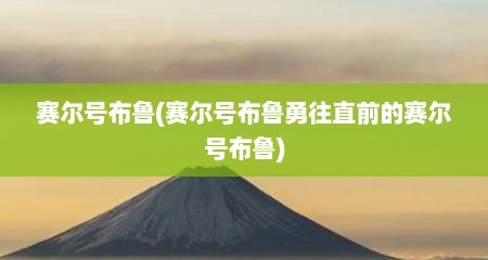 赛尔号布鲁(赛尔号布鲁勇往直前的赛尔号布鲁)