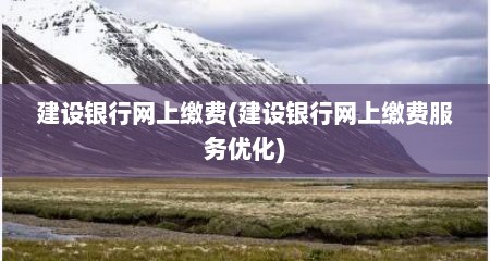 建设银行网上缴费(建设银行网上缴费服务优化)