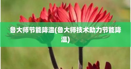 鲁大师节能降温(鲁大师技术助力节能降温)