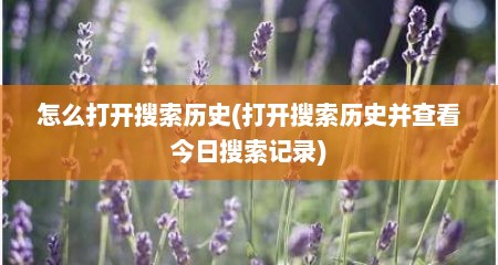 怎么打开搜索历史(打开搜索历史并查看今日搜索记录)