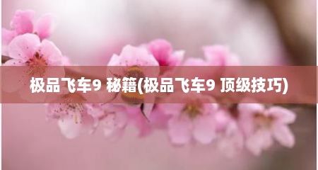 极品飞车9 秘籍(极品飞车9 顶级技巧)