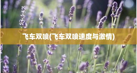 飞车双喷(飞车双喷速度与激情)