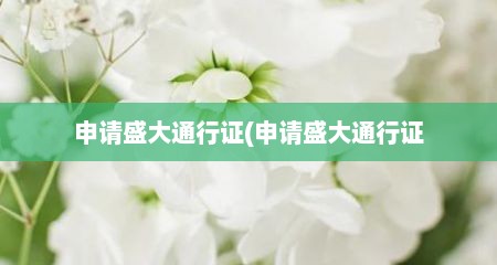 申请盛大通行证(申请盛大通行证