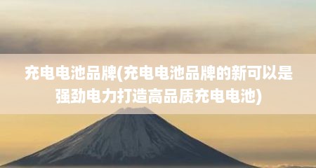 充电电池品牌(充电电池品牌的新可以是强劲电力打造高品质充电电池)
