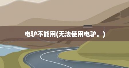 电驴不能用(无法使用电驴。)