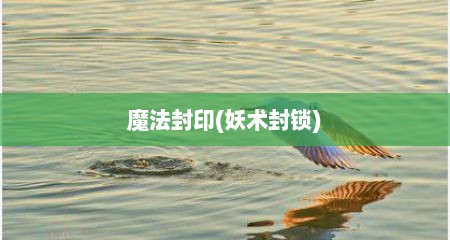 魔法封印(妖术封锁)