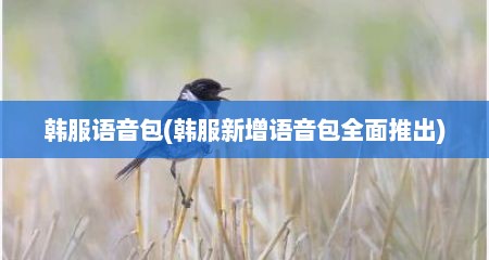 韩服语音包(韩服新增语音包全面推出)
