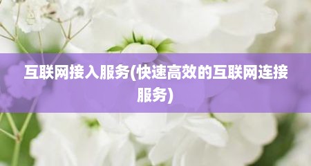 互联网接入服务(快速高效的互联网连接服务)