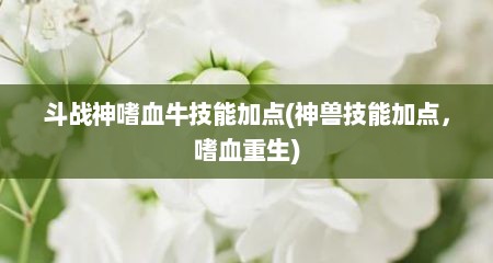 斗战神嗜血牛技能加点(神兽技能加点，嗜血重生)