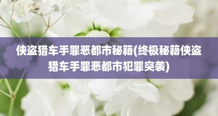 侠盗猎车手罪恶都市秘籍(终极秘籍侠盗猎车手罪恶都市犯罪突袭)