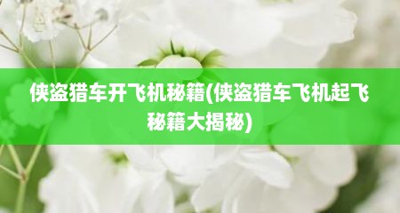 侠盗猎车开飞机秘籍(侠盗猎车飞机起飞秘籍大揭秘)