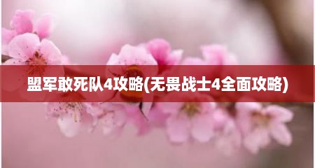 盟军敢死队4攻略(无畏战士4全面攻略)