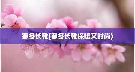 寒冬长靴(寒冬长靴保暖又时尚)