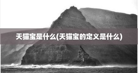 天猫宝是什么(天猫宝的定义是什么)