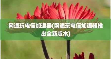 网通玩电信加速器(网通玩电信加速器推出全新版本)