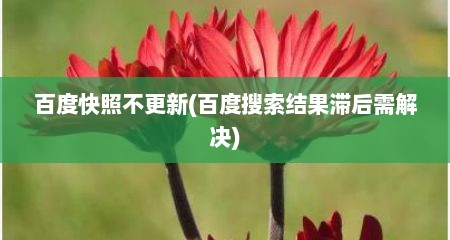 百度快照不更新(百度搜索结果滞后需解决)