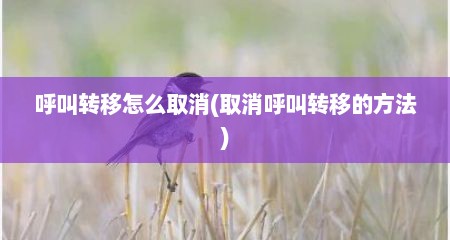 呼叫转移怎么取消(取消呼叫转移的方法)