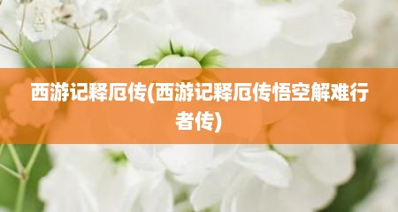 西游记释厄传(西游记释厄传悟空解难行者传)