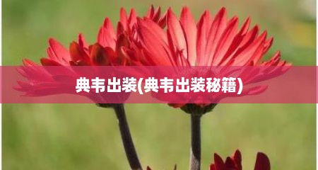 典韦出装(典韦出装秘籍)