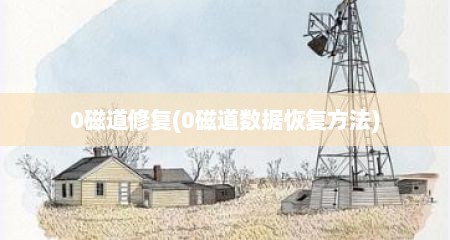 0磁道修复(0磁道数据恢复方法)