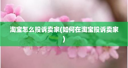 淘宝怎么投诉卖家(如何在淘宝投诉卖家)