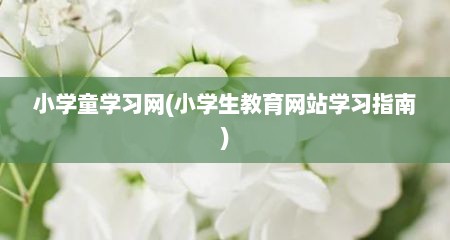 小学童学习网(小学生教育网站学习指南)