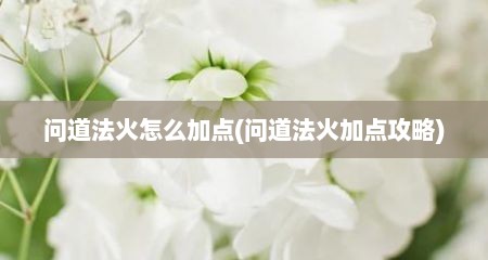 问道法火怎么加点(问道法火加点攻略)