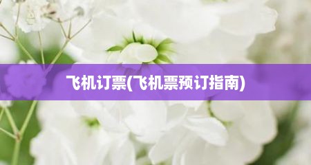 飞机订票(飞机票预订指南)