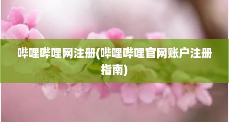 哔哩哔哩网注册(哔哩哔哩官网账户注册指南)