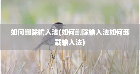 如何删除输入法(如何删除输入法如何卸载输入法)