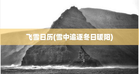 飞雪日历(雪中追逐冬日暖阳)