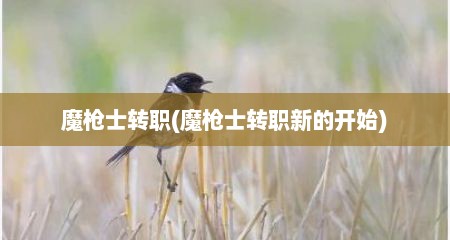 魔枪士转职(魔枪士转职新的开始)