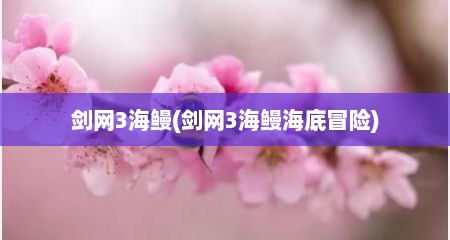 剑网3海鳗(剑网3海鳗海底冒险)