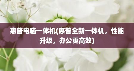 惠普电脑一体机(惠普全新一体机，性能升级，办公更高效)