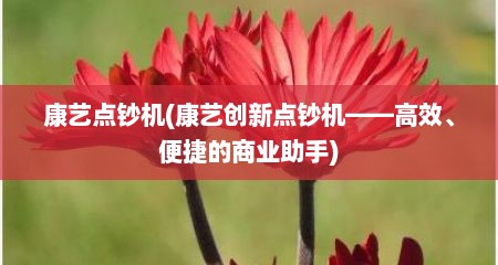康艺点钞机(康艺创新点钞机——高效、便捷的商业助手)