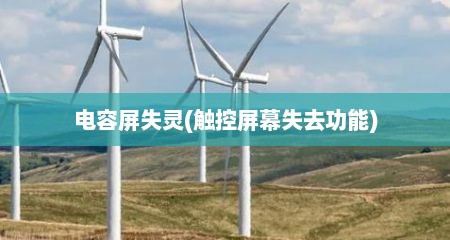 电容屏失灵(触控屏幕失去功能)