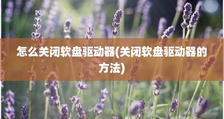 怎么关闭软盘驱动器(关闭软盘驱动器的方法)