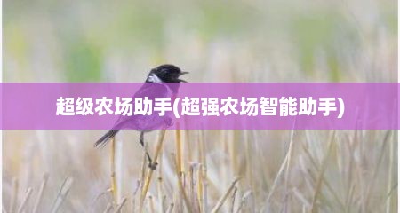 超级农场助手(超强农场智能助手)