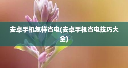 安卓手机怎样省电(安卓手机省电技巧大全)