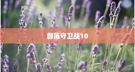 部落守卫战10