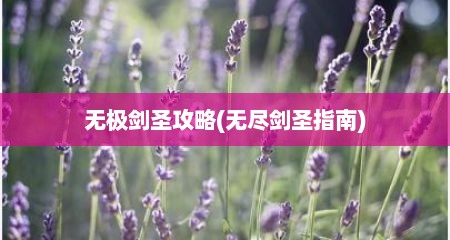 无极剑圣攻略(无尽剑圣指南)