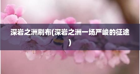 深岩之洲刷布(深岩之洲一场严峻的征途)