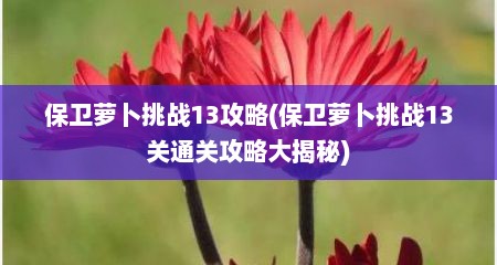 保卫萝卜挑战13攻略(保卫萝卜挑战13关通关攻略大揭秘)