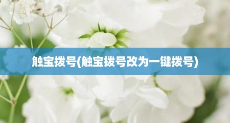 触宝拨号(触宝拨号改为一键拨号)