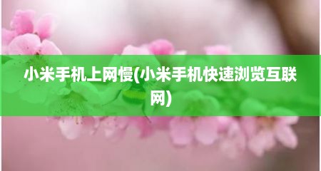 小米手机上网慢(小米手机快速浏览互联网)