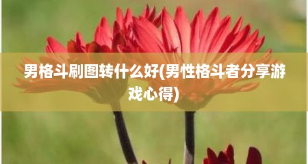 男格斗刷图转什么好(男性格斗者分享游戏心得)