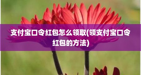 支付宝口令红包怎么领取(领支付宝口令红包的方法)
